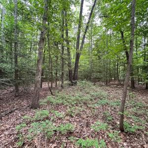 Photo #26 of 368 Greenbriar Rd, Walkerton, VA 9.5 acres