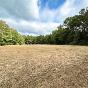 Photo #28 of 368 Greenbriar Rd, Walkerton, VA 9.5 acres