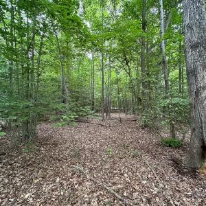 Photo #29 of 368 Greenbriar Rd, Walkerton, VA 9.5 acres