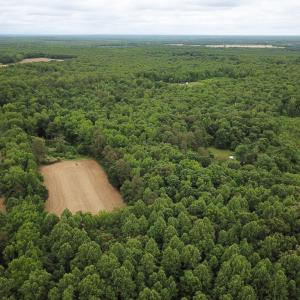 Photo #30 of 368 Greenbriar Rd, Walkerton, VA 9.5 acres