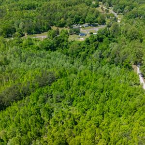 Photo #12 of SOLD property in Lot 1 - Off Wilson Road, Providence, NC 6.8 acres