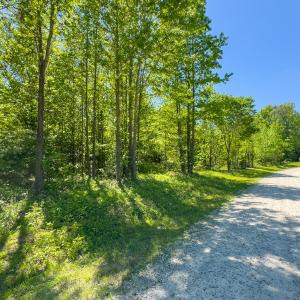 Photo #31 of SOLD property in Lot 1 - Off Wilson Road, Providence, NC 6.8 acres