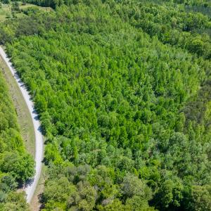 Photo #2 of SOLD property in Lot-2 - Off Wilson Road, Providence, NC 6.2 acres