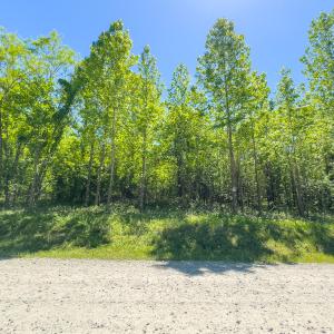 Photo #15 of SOLD property in Lot-2 - Off Wilson Road, Providence, NC 6.2 acres