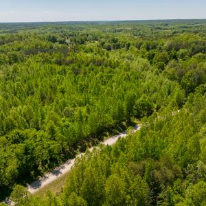 Photo #17 of SOLD property in Lot-2 - Off Wilson Road, Providence, NC 6.2 acres