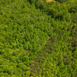 Photo #39 of SOLD property in Lot-2 - Off Wilson Road, Providence, NC 6.2 acres