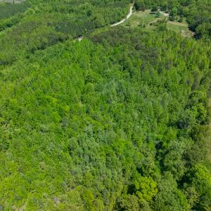Photo #16 of SOLD property in Lot-3 - Off Wilson Road, Providence, NC 5.0 acres