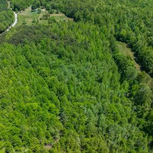 Photo #18 of SOLD property in Lot-3 - Off Wilson Road, Providence, NC 5.0 acres