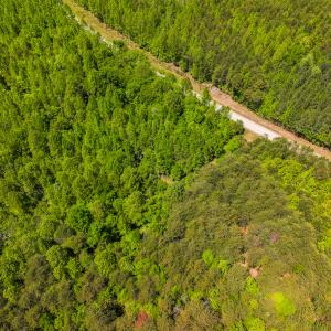 Photo #24 of SOLD property in Lot-3 - Off Wilson Road, Providence, NC 5.0 acres