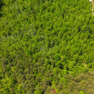 Photo #27 of SOLD property in Lot-3 - Off Wilson Road, Providence, NC 5.0 acres