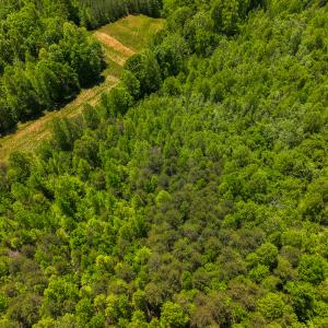 Photo #28 of SOLD property in Lot-3 - Off Wilson Road, Providence, NC 5.0 acres