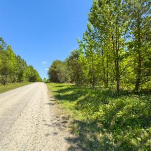Photo #4 of SOLD property in Lot-4 - Off Wilson Road, Providence, NC 5.7 acres