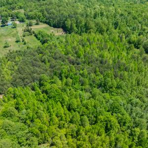 Photo #7 of SOLD property in Lot-4 - Off Wilson Road, Providence, NC 5.7 acres