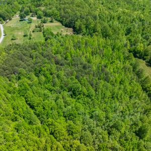 Photo #10 of SOLD property in Lot-4 - Off Wilson Road, Providence, NC 5.7 acres