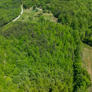 Photo #13 of SOLD property in Lot-4 - Off Wilson Road, Providence, NC 5.7 acres