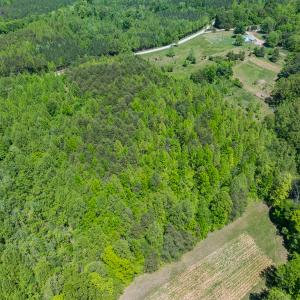 Photo #15 of SOLD property in Lot-4 - Off Wilson Road, Providence, NC 5.7 acres