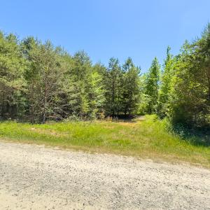 Photo #17 of SOLD property in Lot-4 - Off Wilson Road, Providence, NC 5.7 acres
