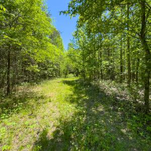Photo #18 of SOLD property in Lot-4 - Off Wilson Road, Providence, NC 5.7 acres
