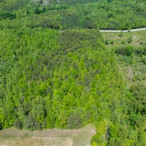 Photo #19 of SOLD property in Lot-4 - Off Wilson Road, Providence, NC 5.7 acres