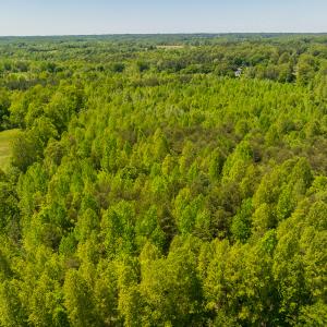 Photo #20 of SOLD property in Lot-4 - Off Wilson Road, Providence, NC 5.7 acres