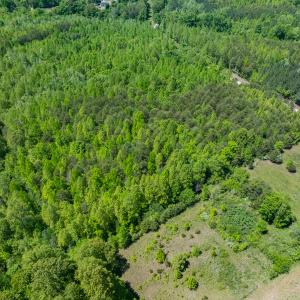 Photo #21 of SOLD property in Lot-4 - Off Wilson Road, Providence, NC 5.7 acres