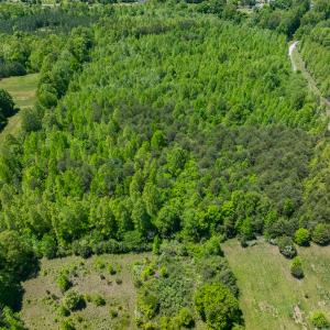 Photo #23 of SOLD property in Lot-4 - Off Wilson Road, Providence, NC 5.7 acres