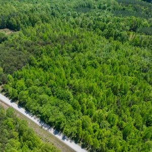 Photo #24 of SOLD property in Lot-4 - Off Wilson Road, Providence, NC 5.7 acres