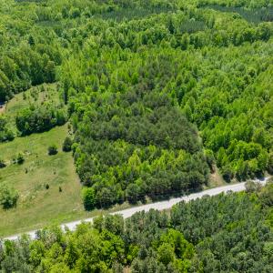 Photo #26 of SOLD property in Lot-4 - Off Wilson Road, Providence, NC 5.7 acres