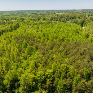 Photo #27 of SOLD property in Lot-4 - Off Wilson Road, Providence, NC 5.7 acres