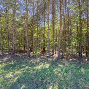 Photo #30 of SOLD property in Lot-4 - Off Wilson Road, Providence, NC 5.7 acres