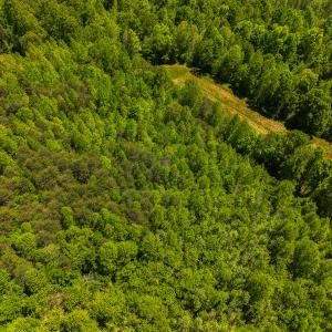 Photo #32 of SOLD property in Lot-4 - Off Wilson Road, Providence, NC 5.7 acres