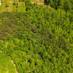 Photo #33 of SOLD property in Lot-4 - Off Wilson Road, Providence, NC 5.7 acres