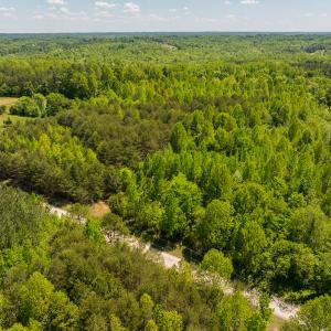 Photo #34 of SOLD property in Lot-4 - Off Wilson Road, Providence, NC 5.7 acres