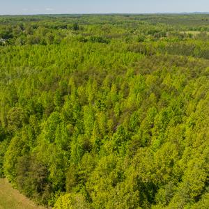 Photo #38 of SOLD property in Lot-4 - Off Wilson Road, Providence, NC 5.7 acres