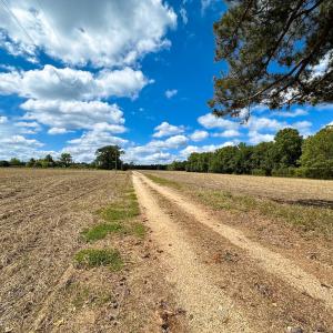 Photo #2 of Off Bobcat Ln, Franklin, VA 30.0 acres