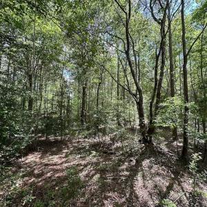Photo #3 of Off Bobcat Ln, Franklin, VA 30.0 acres