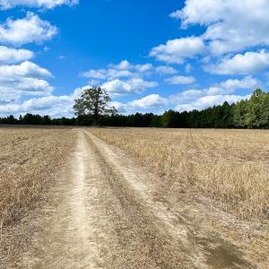 Photo #4 of Off Bobcat Ln, Franklin, VA 30.0 acres