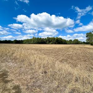 Photo #5 of Off Bobcat Ln, Franklin, VA 30.0 acres
