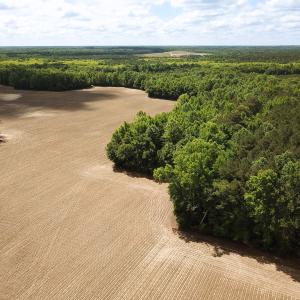 Photo #6 of Off Bobcat Ln, Franklin, VA 30.0 acres