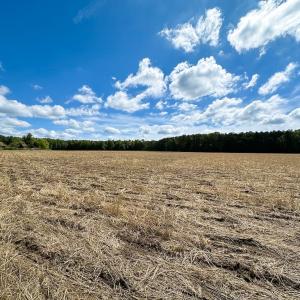 Photo #7 of Off Bobcat Ln, Franklin, VA 30.0 acres