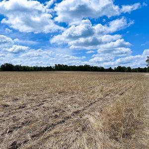 Photo #8 of Off Bobcat Ln, Franklin, VA 30.0 acres