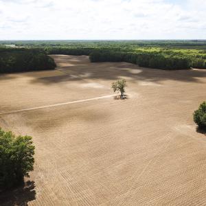 Photo #9 of Off Bobcat Ln, Franklin, VA 30.0 acres
