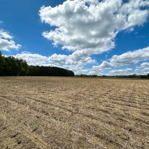 Photo #11 of Off Bobcat Ln, Franklin, VA 30.0 acres