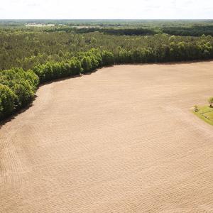 Photo #12 of Off Bobcat Ln, Franklin, VA 30.0 acres