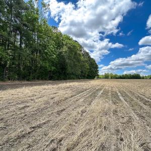Photo #13 of Off Bobcat Ln, Franklin, VA 30.0 acres