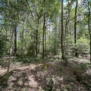 Photo #14 of Off Bobcat Ln, Franklin, VA 30.0 acres