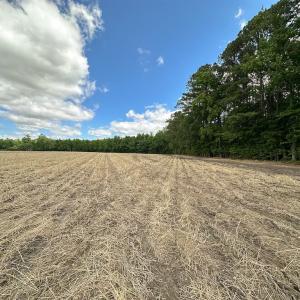 Photo #15 of Off Bobcat Ln, Franklin, VA 30.0 acres