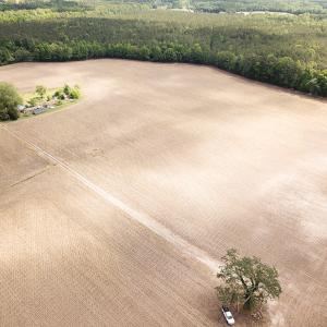 Photo #16 of Off Bobcat Ln, Franklin, VA 30.0 acres