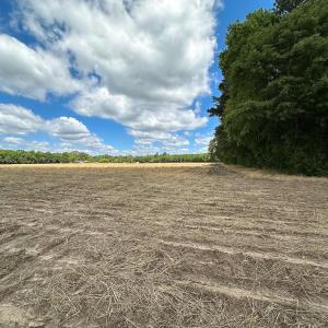 Photo #17 of Off Bobcat Ln, Franklin, VA 30.0 acres