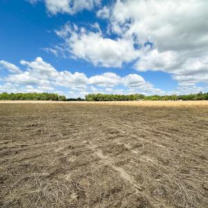 Photo #18 of Off Bobcat Ln, Franklin, VA 30.0 acres